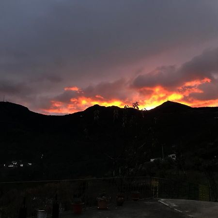 "Casa Da Russa" Mountain Experience Guest House Vila Real Bagian luar foto