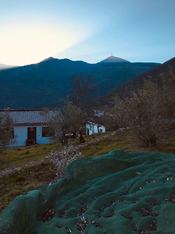 "Casa Da Russa" Mountain Experience Guest House Vila Real Bagian luar foto