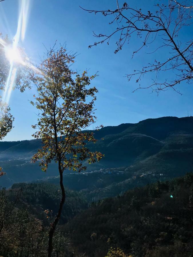 "Casa Da Russa" Mountain Experience Guest House Vila Real Bagian luar foto