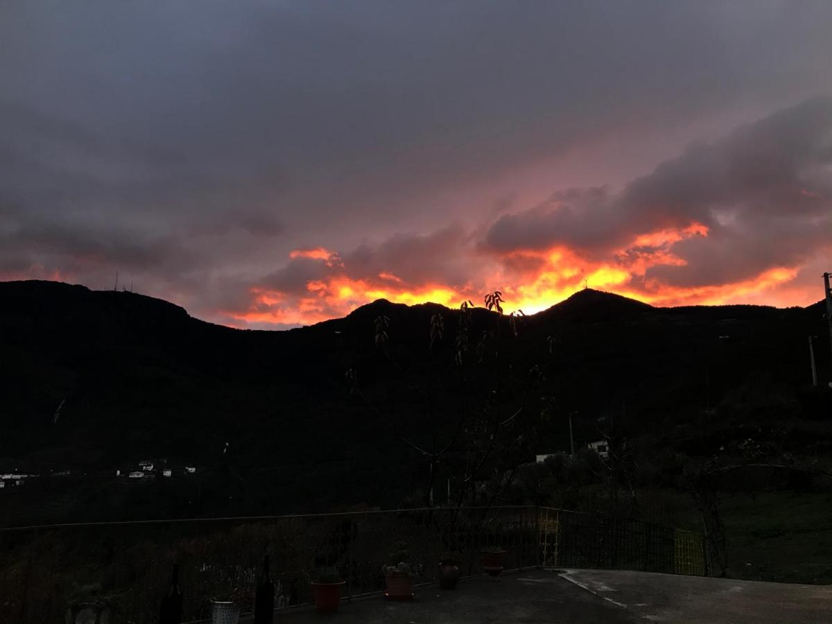 "Casa Da Russa" Mountain Experience Guest House Vila Real Bagian luar foto